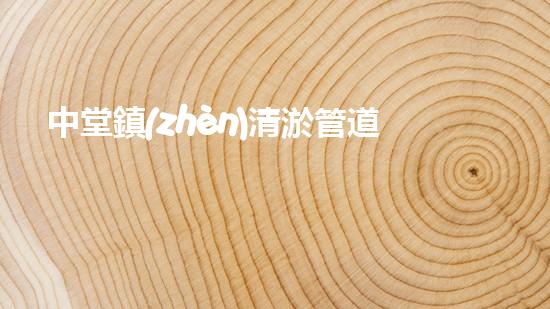 中堂鎮(zhèn)清淤管道：揭秘底層黑科技，驚人發(fā)現(xiàn)引爆全國熱議！